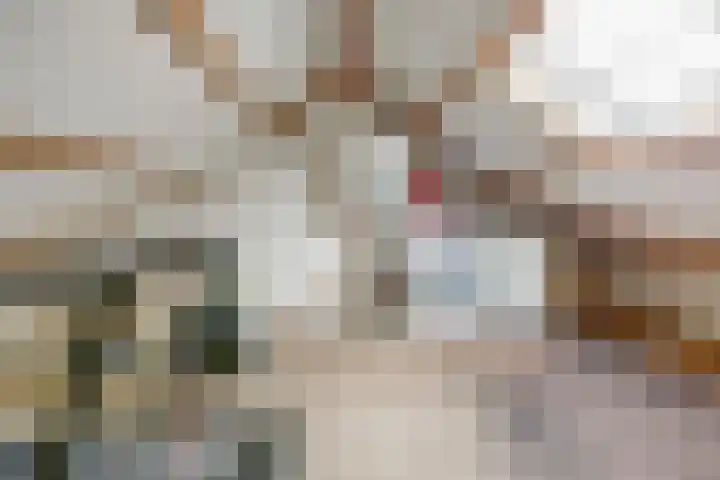 Achterstraat 24 Vlijmen thumbnail 36