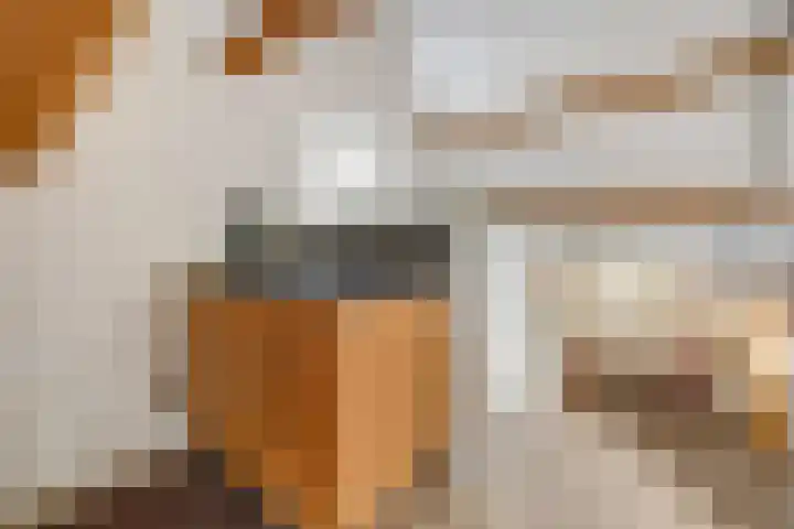 Achterstraat 24 Vlijmen thumbnail 48