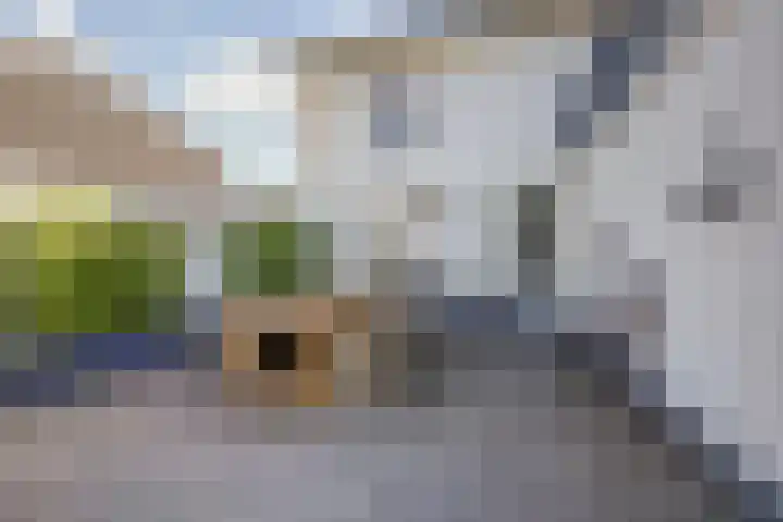 Achterstraat 24 Vlijmen thumbnail 54