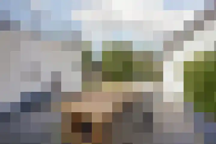Achterstraat 24 Vlijmen thumbnail 55