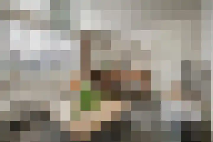 Achterstraat 24 Vlijmen thumbnail 6