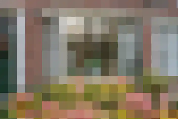 Achterstraat 26 Zoelen thumbnail 10