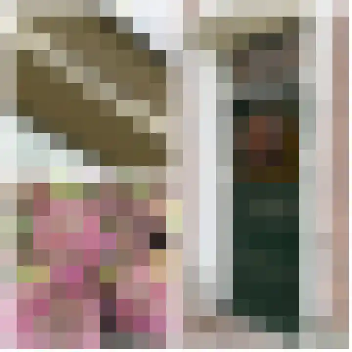 Achterstraat 26 Zoelen thumbnail 12