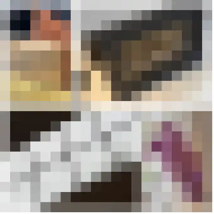 Achterstraat 26 Zoelen thumbnail 25