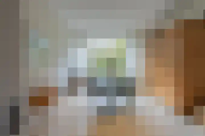 Achterstraat 26 Zoelen thumbnail 27