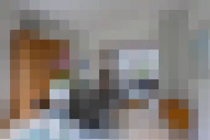 Achterstraat 26 Zoelen thumbnail 29