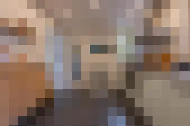 Achterstraat 26 Zoelen thumbnail 30