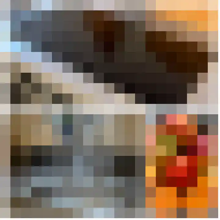 Achterstraat 26 Zoelen thumbnail 32