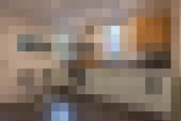 Achterstraat 26 Zoelen thumbnail 33