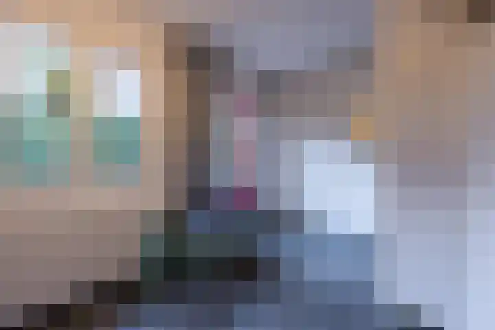 Achterstraat 26 Zoelen thumbnail 34