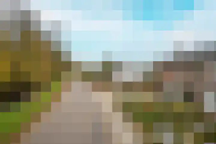Achterstraat 26 Zoelen thumbnail 4
