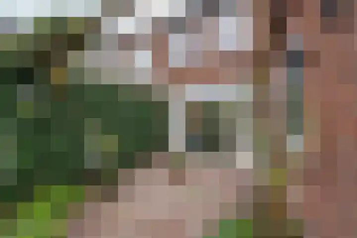 Achterstraat 26 Zoelen thumbnail 41