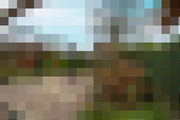 Achterstraat 26 Zoelen thumbnail 42