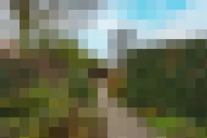 Achterstraat 26 Zoelen thumbnail 47
