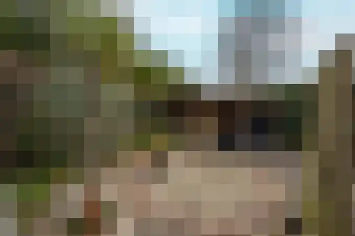 Achterstraat 26 Zoelen thumbnail 48