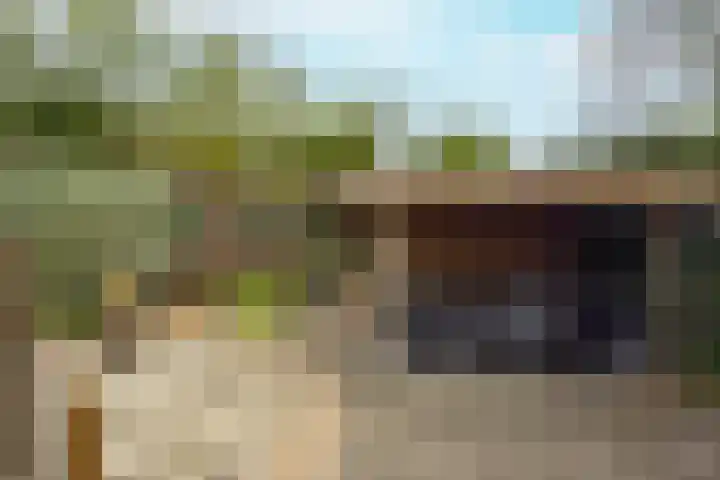 Achterstraat 26 Zoelen thumbnail 49