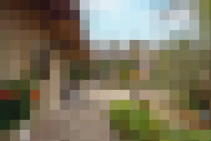 Achterstraat 26 Zoelen thumbnail 51
