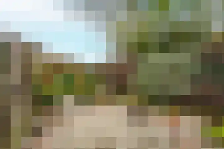 Achterstraat 26 Zoelen thumbnail 52