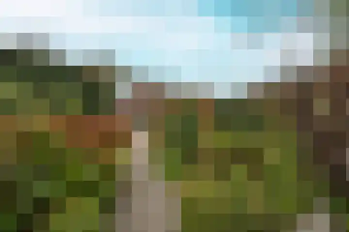 Achterstraat 26 Zoelen thumbnail 53