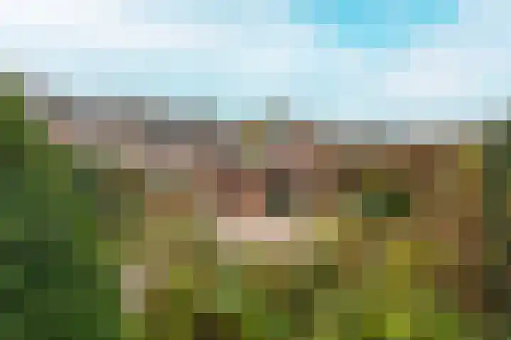 Achterstraat 26 Zoelen thumbnail 54
