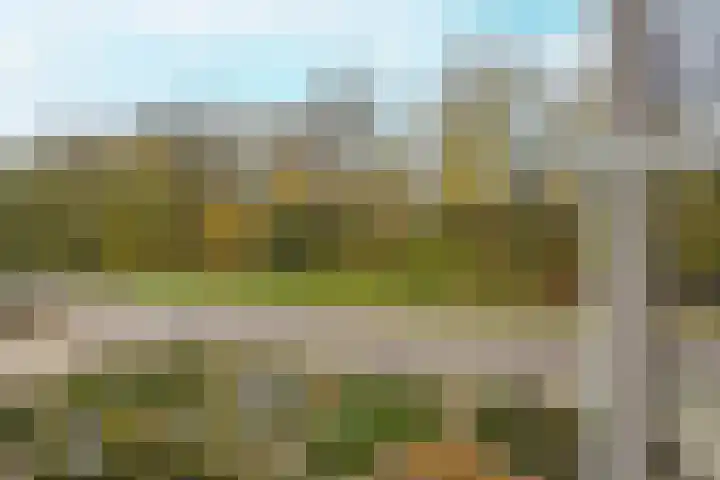 Achterstraat 26 Zoelen thumbnail 60