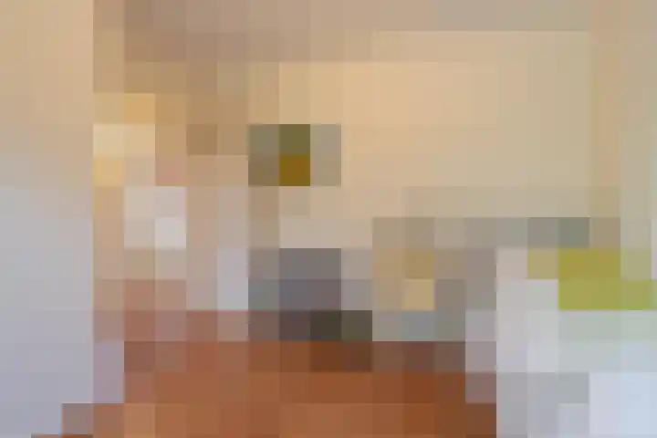 Achterstraat 26 Zoelen thumbnail 61