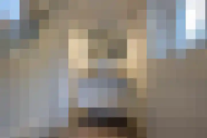 Achterstraat 26 Zoelen thumbnail 68