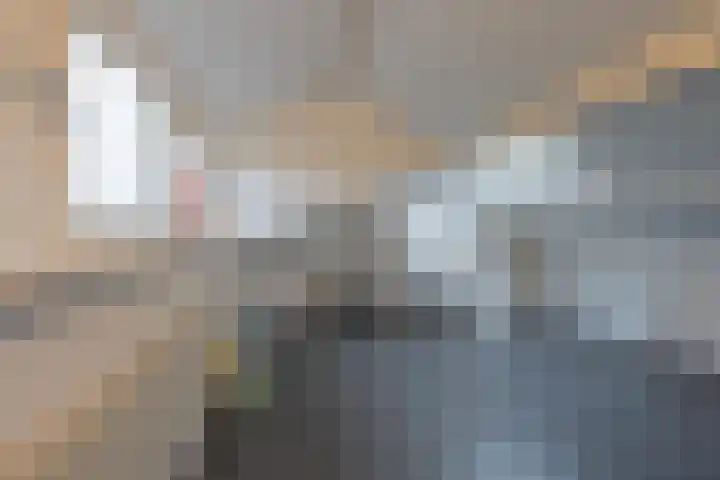 Achterstraat 26 Zoelen thumbnail 71