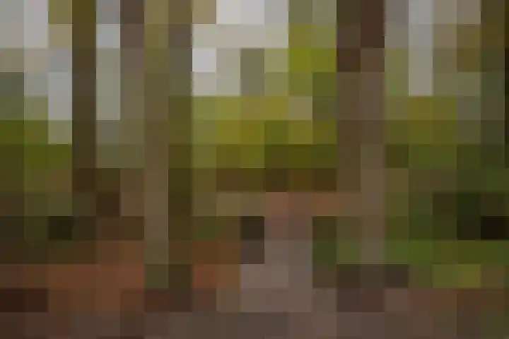 Achterstraat 26 Zoelen thumbnail 75
