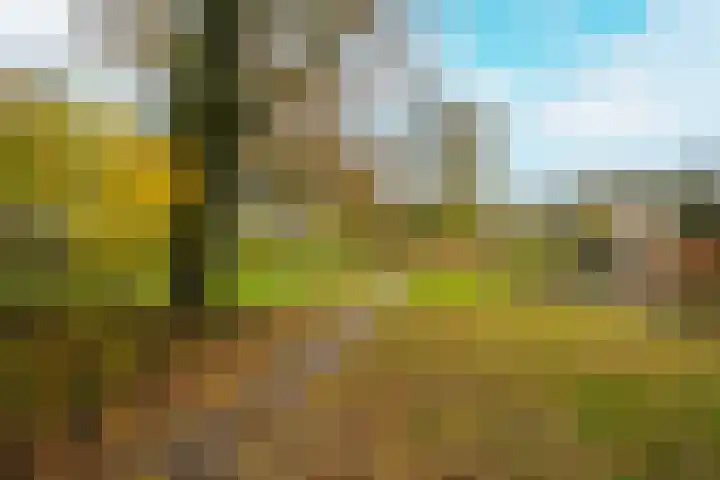 Achterstraat 26 Zoelen thumbnail 78
