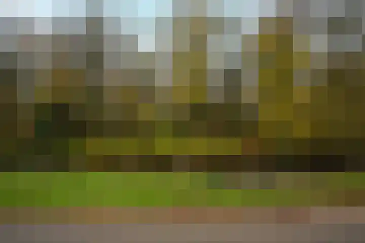 Achterstraat 26 Zoelen thumbnail 8