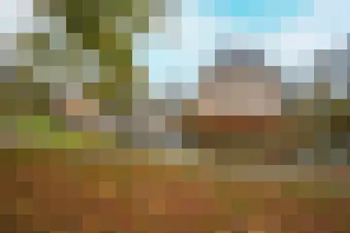Achterstraat 26 Zoelen thumbnail 80