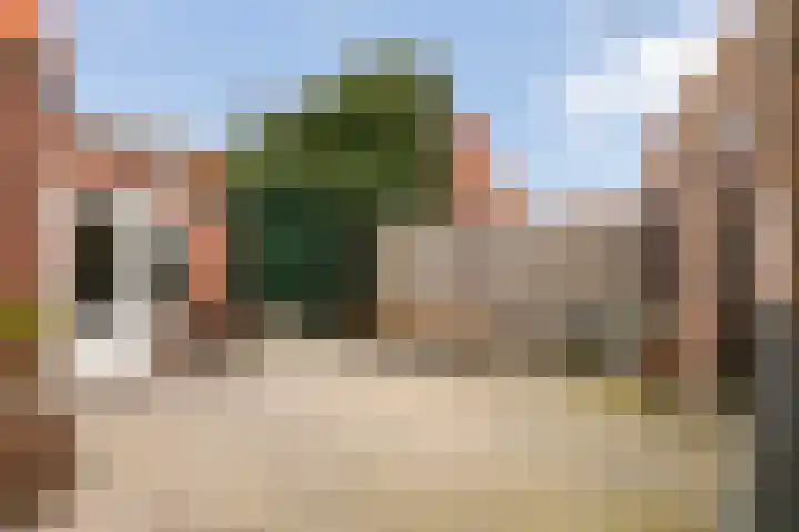 Achterstraat 27 Sint Philipsland thumbnail 29