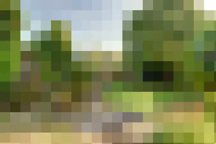 Achterstraat 29 Asperen thumbnail 6