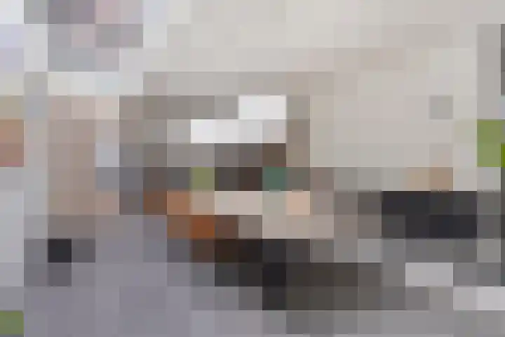 Achterstraat 3 Drunen thumbnail 17