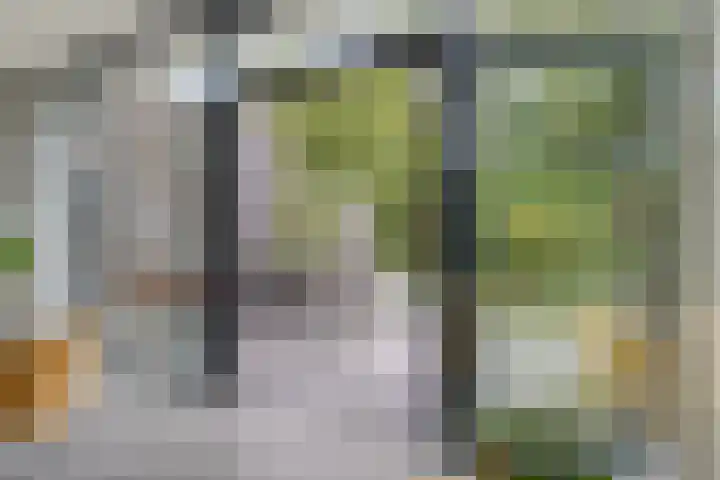 Achterstraat 3 Drunen thumbnail 21