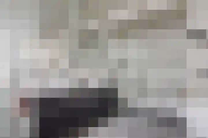 Achterstraat 3 Drunen thumbnail 28