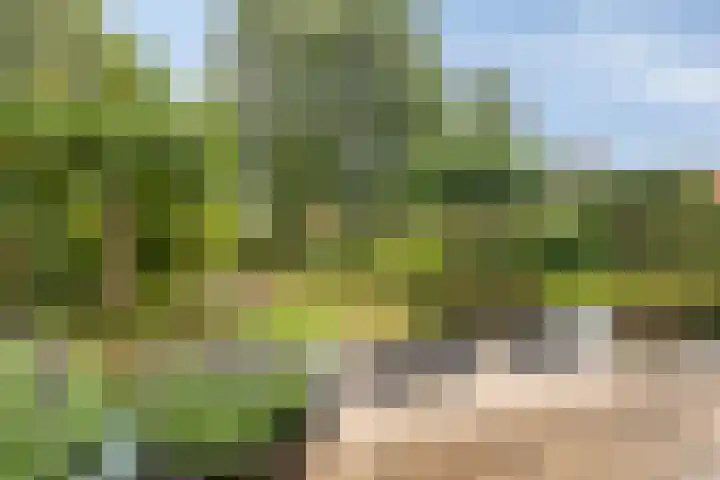 Achterstraat 3 Drunen thumbnail 4