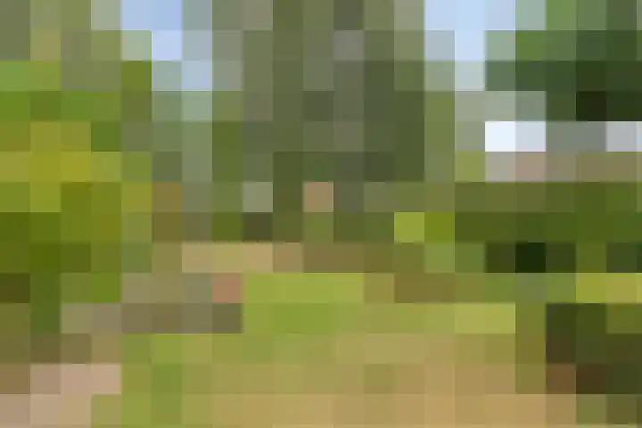 Achterstraat 3 Drunen thumbnail 43