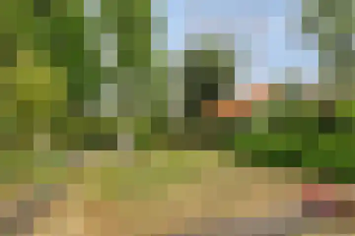 Achterstraat 3 Drunen thumbnail 44