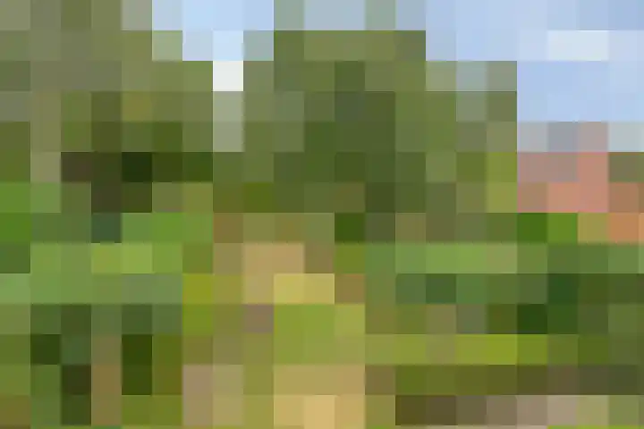 Achterstraat 3 Drunen thumbnail 45