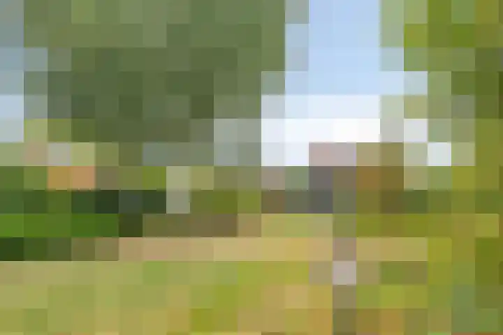 Achterstraat 3 Drunen thumbnail 47