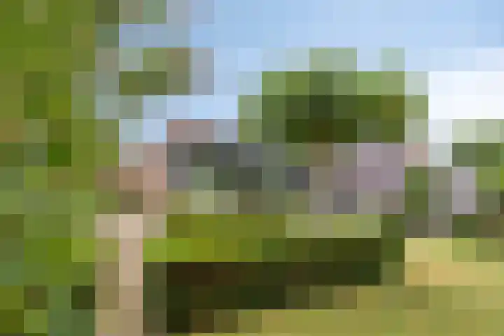 Achterstraat 3 Drunen thumbnail 48