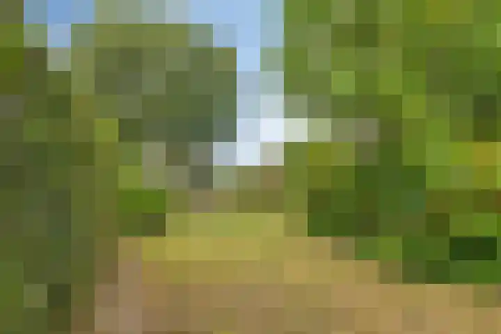 Achterstraat 3 Drunen thumbnail 5