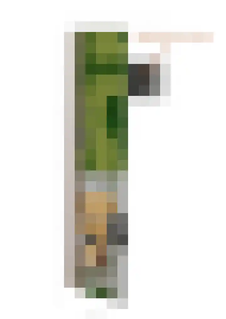 Achterstraat 3 Drunen thumbnail 54