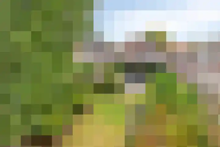Achterstraat 3 Drunen thumbnail 6