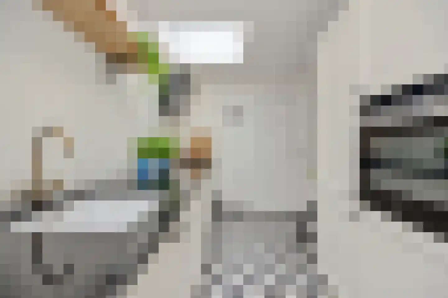 Achterstraat 3 's-Hertogenbosch thumbnail 10