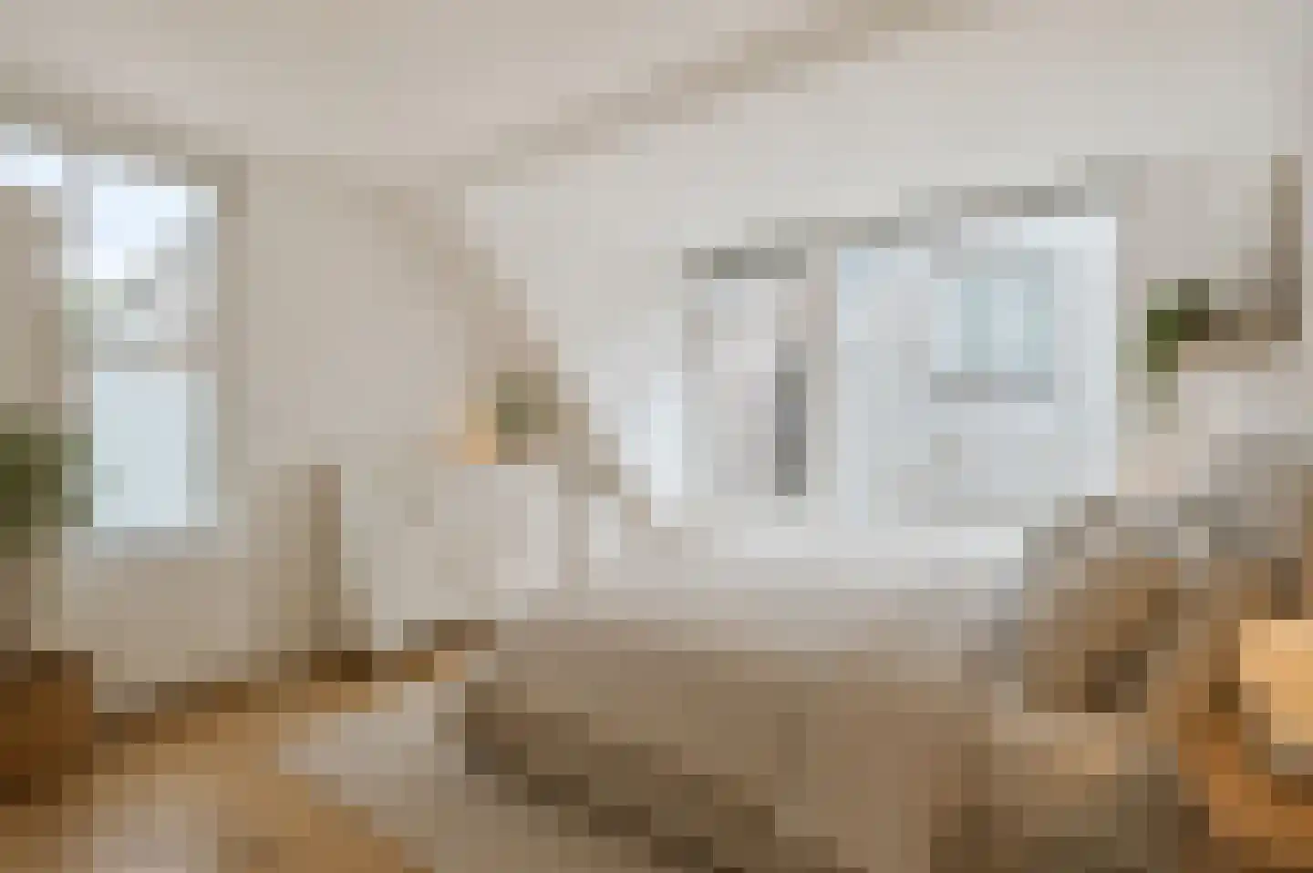 Achterstraat 3 's-Hertogenbosch thumbnail 14
