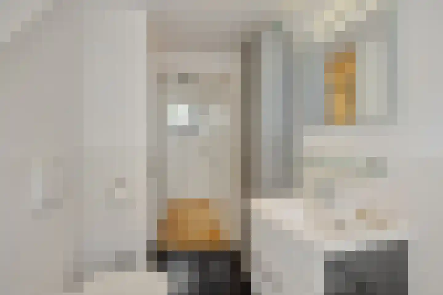 Achterstraat 3 's-Hertogenbosch thumbnail 18