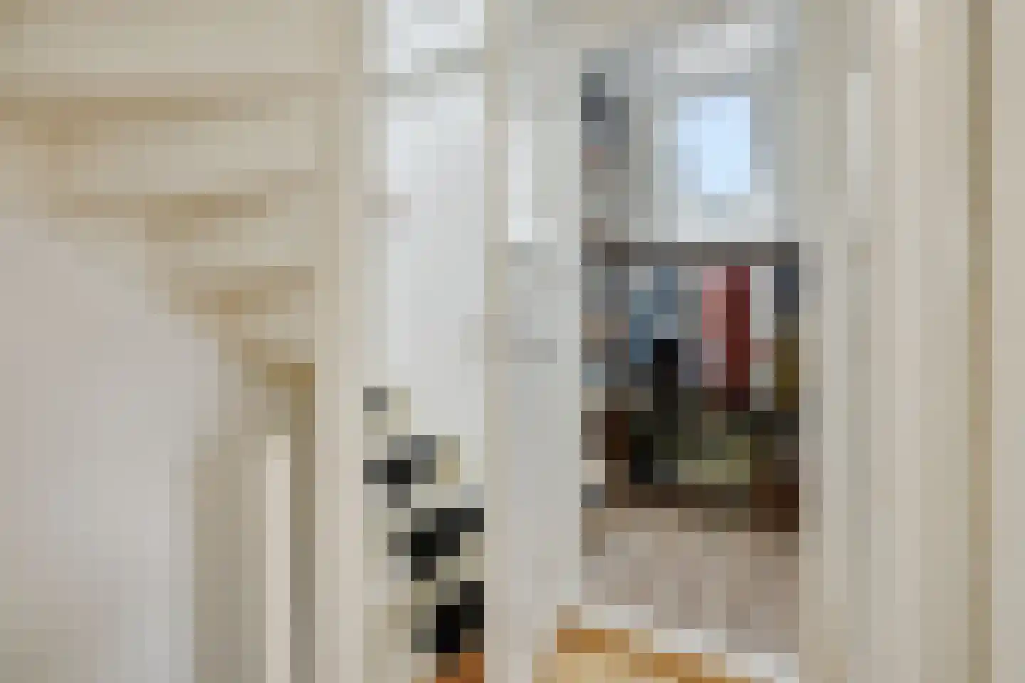 Achterstraat 3 's-Hertogenbosch thumbnail 20